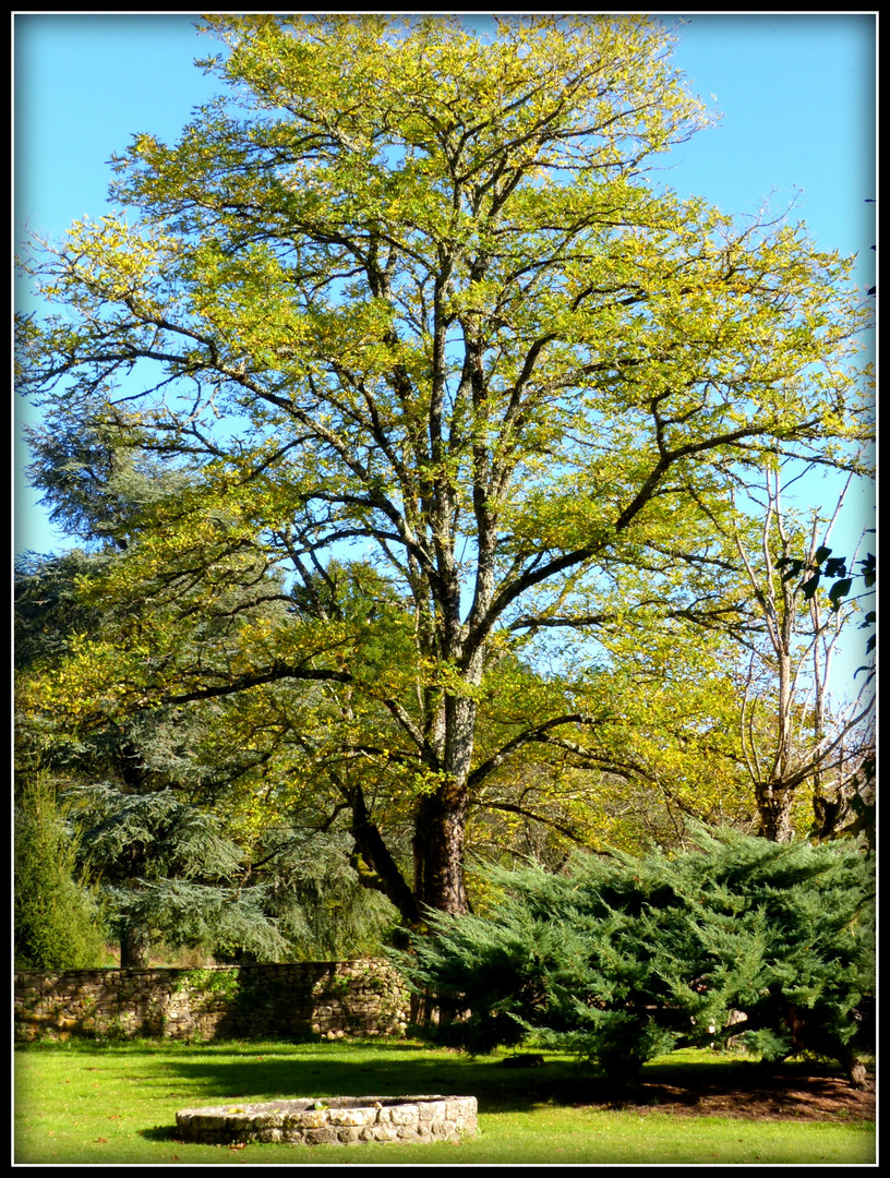 Automne à Sarlat