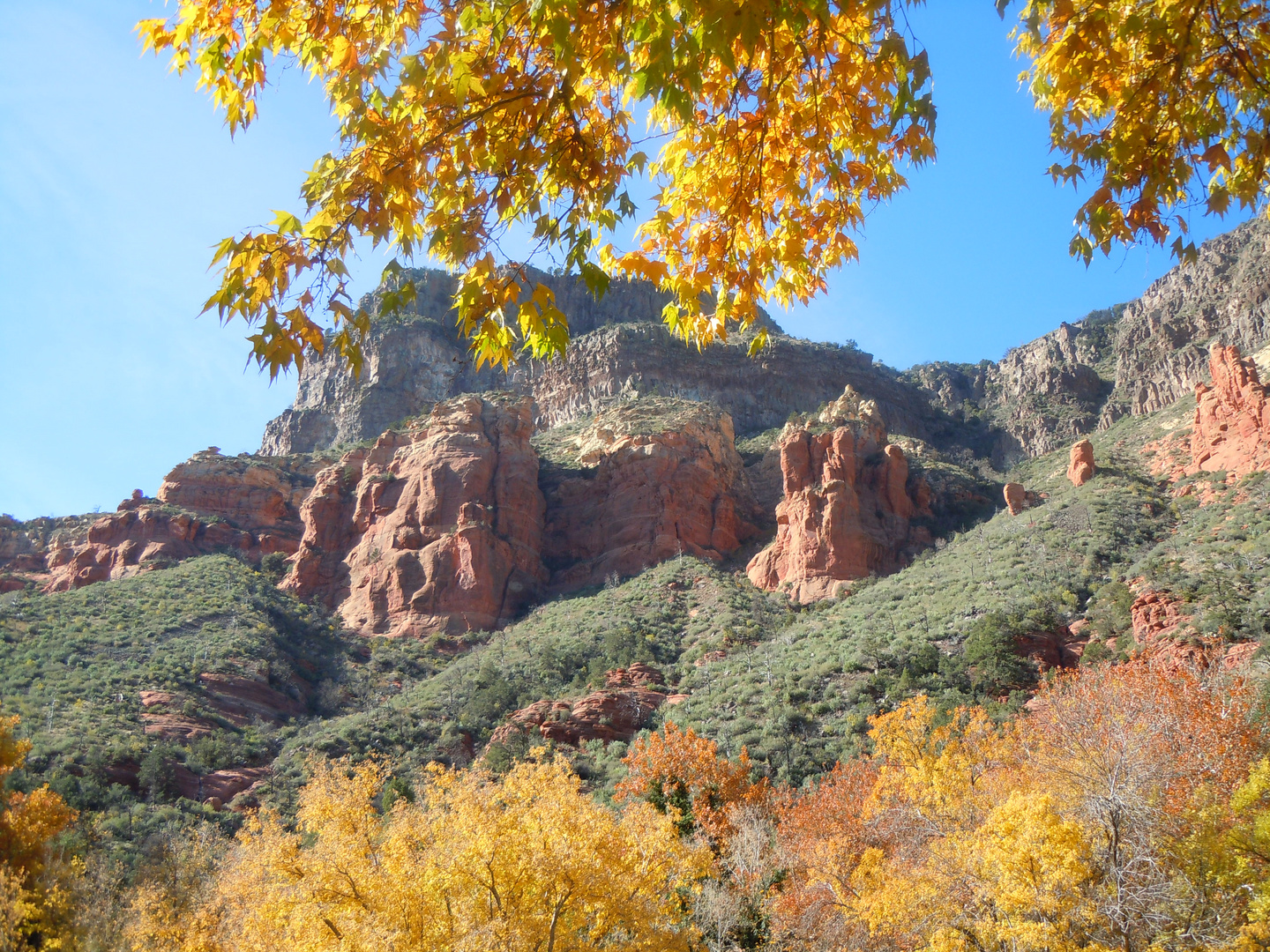 automne à Sedona