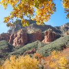 automne à Sedona