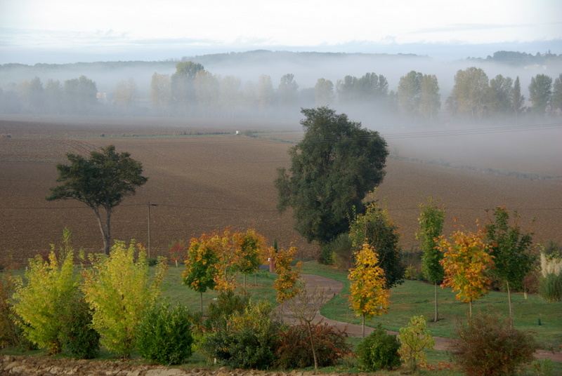 AUTOMNE à ST CERNIN