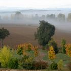 AUTOMNE à ST CERNIN