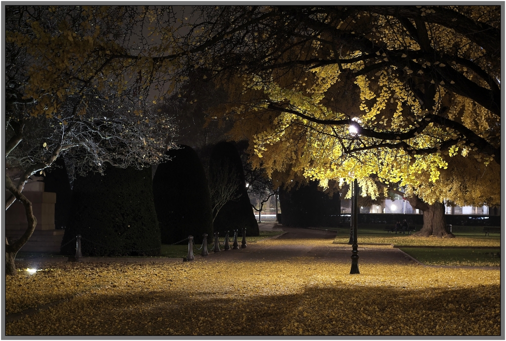 Automne à Strasbourg