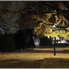 Automne à Strasbourg