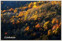 automne ariegeois