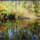 AUTOMNE  au Bois Notre Dame