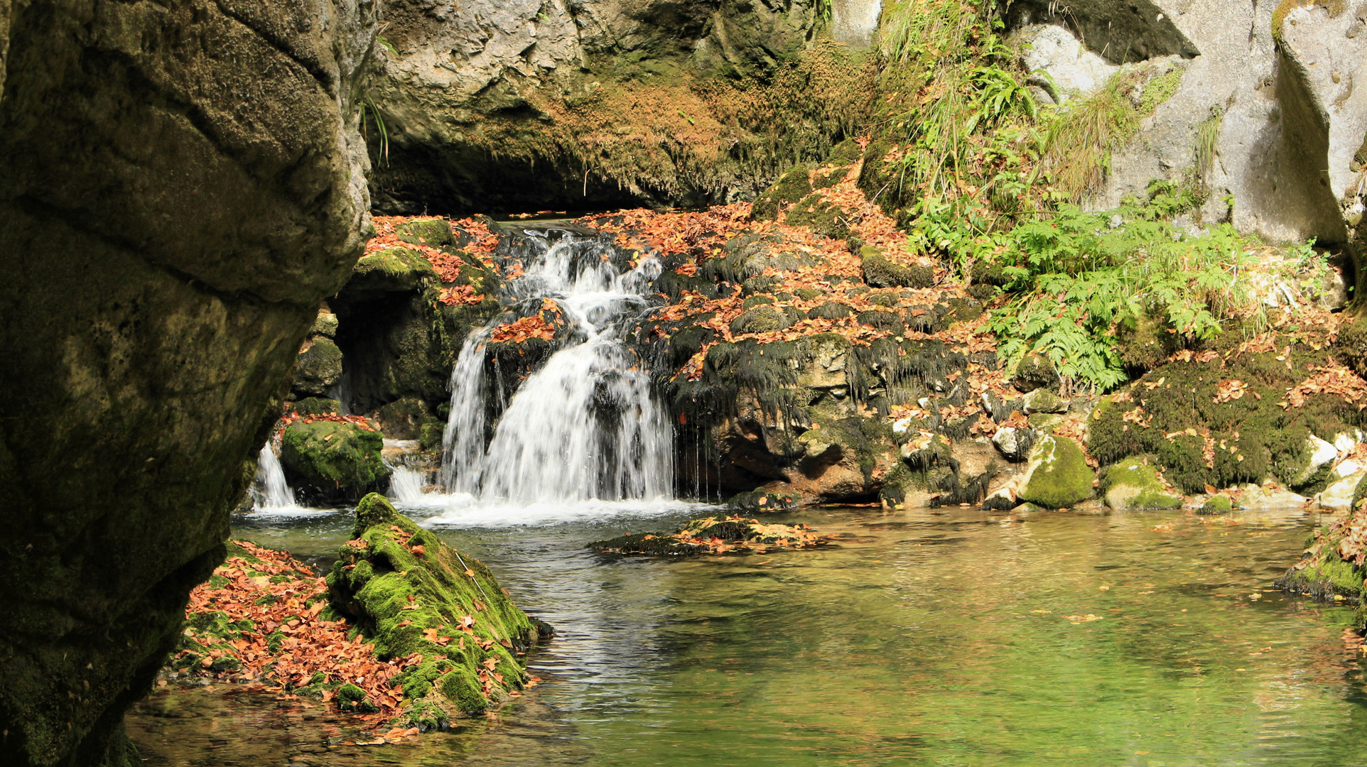 automne au bord de l'eau Jura