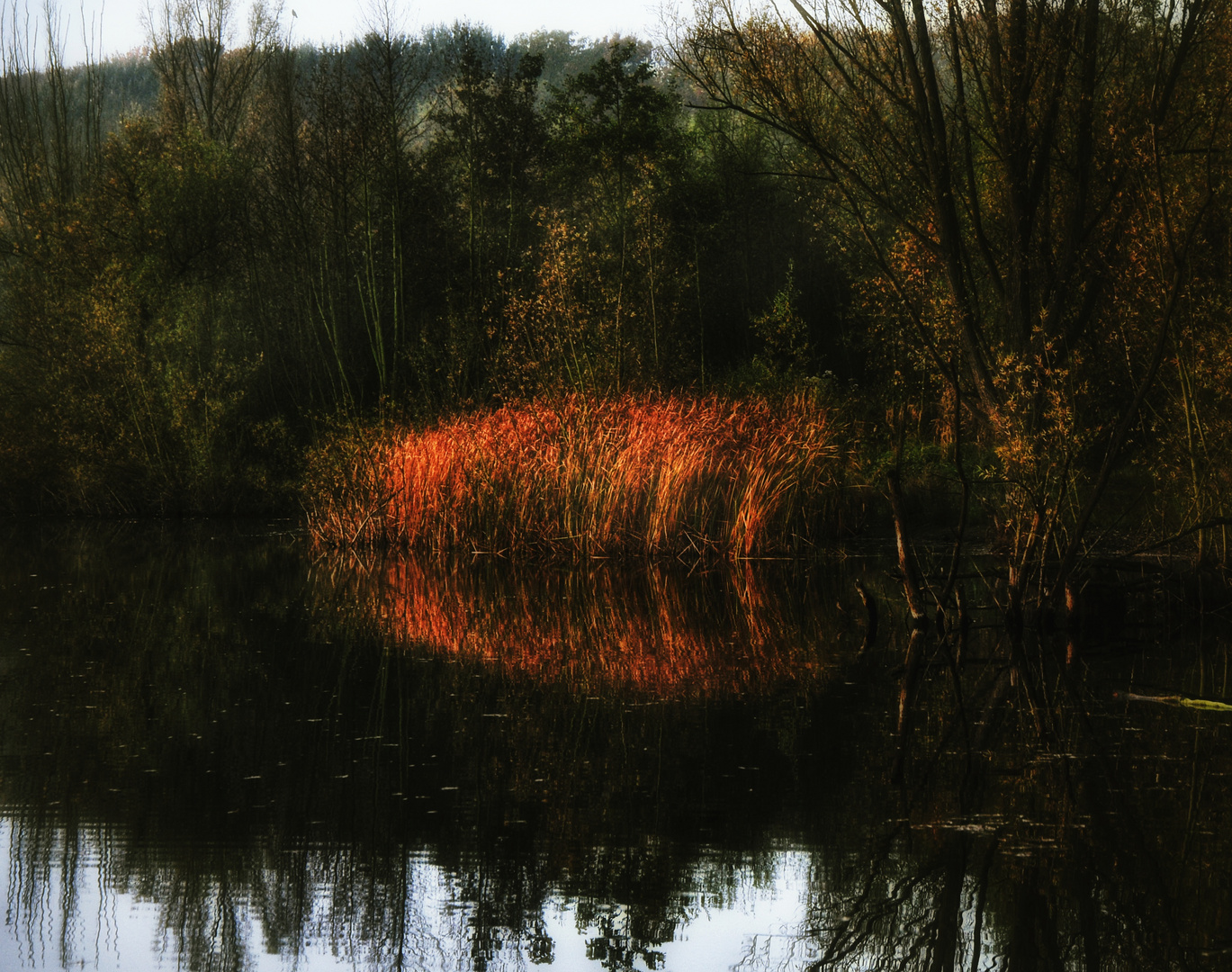 Automne au bord du lac