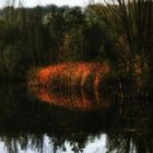 Automne au bord du lac