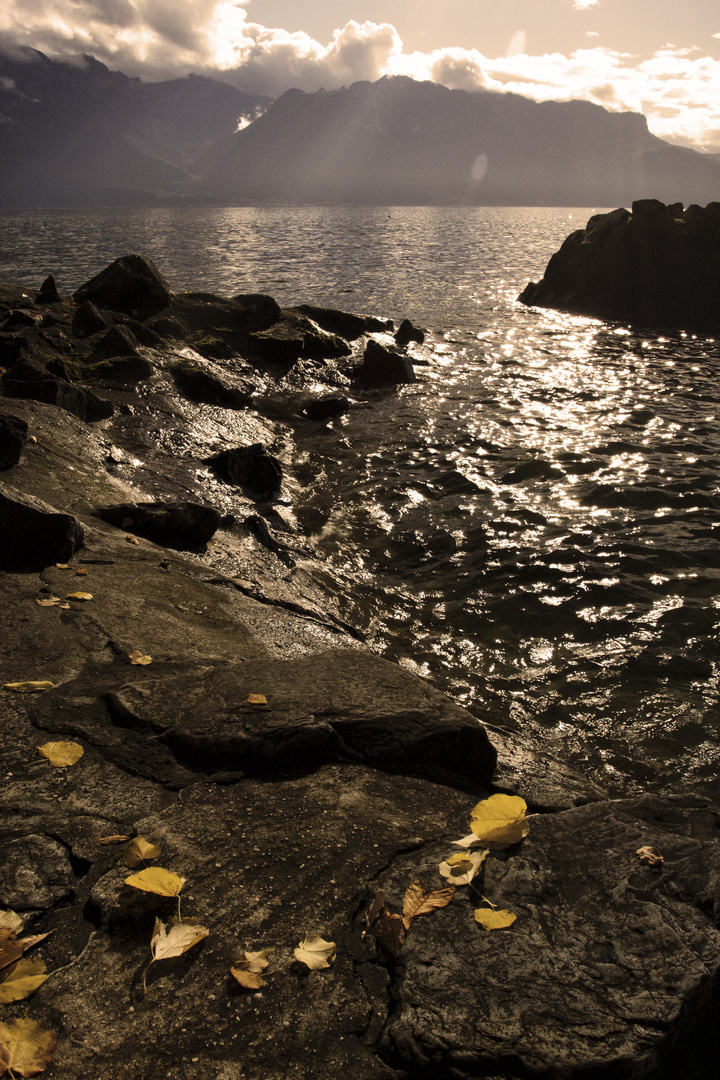 Automne au bord du Lac Léman