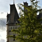 Automne au château