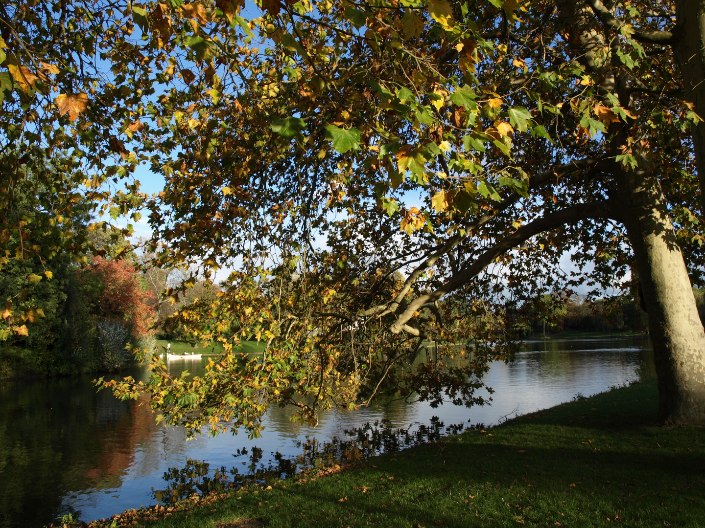 Automne au Lac Daumesnil. Paris