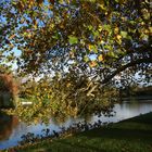 Automne au Lac Daumesnil. Paris