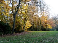 Automne au parc (2)