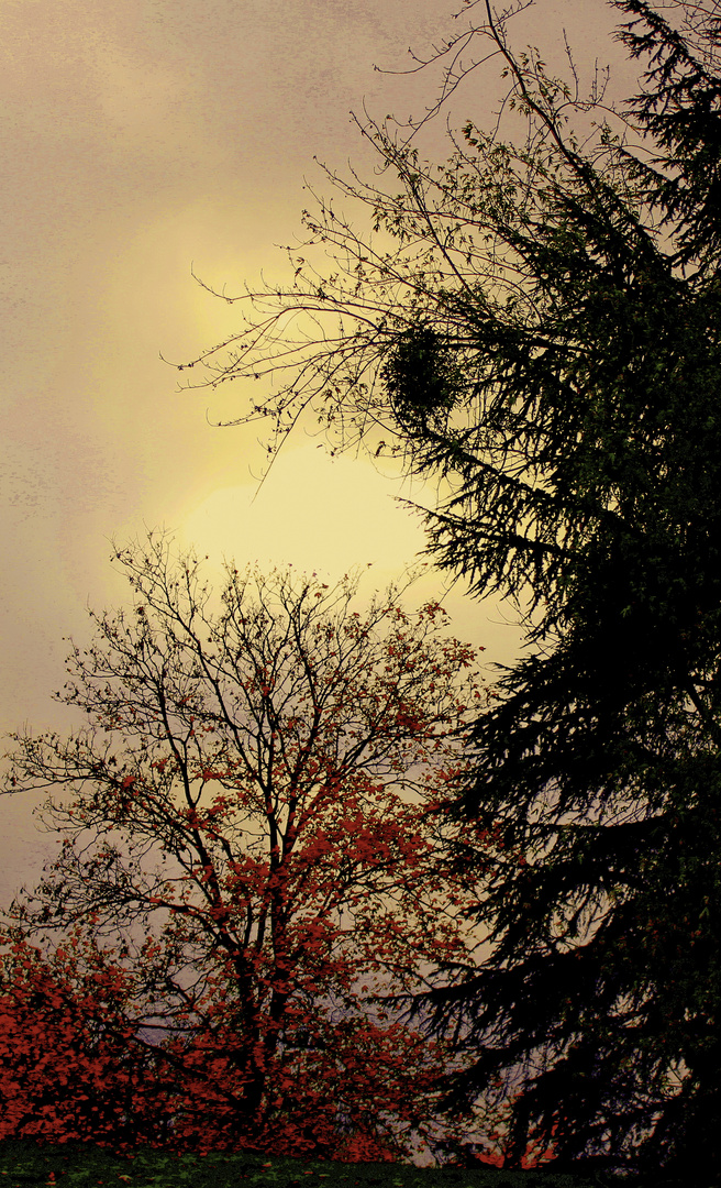 Automne au Parc Floral