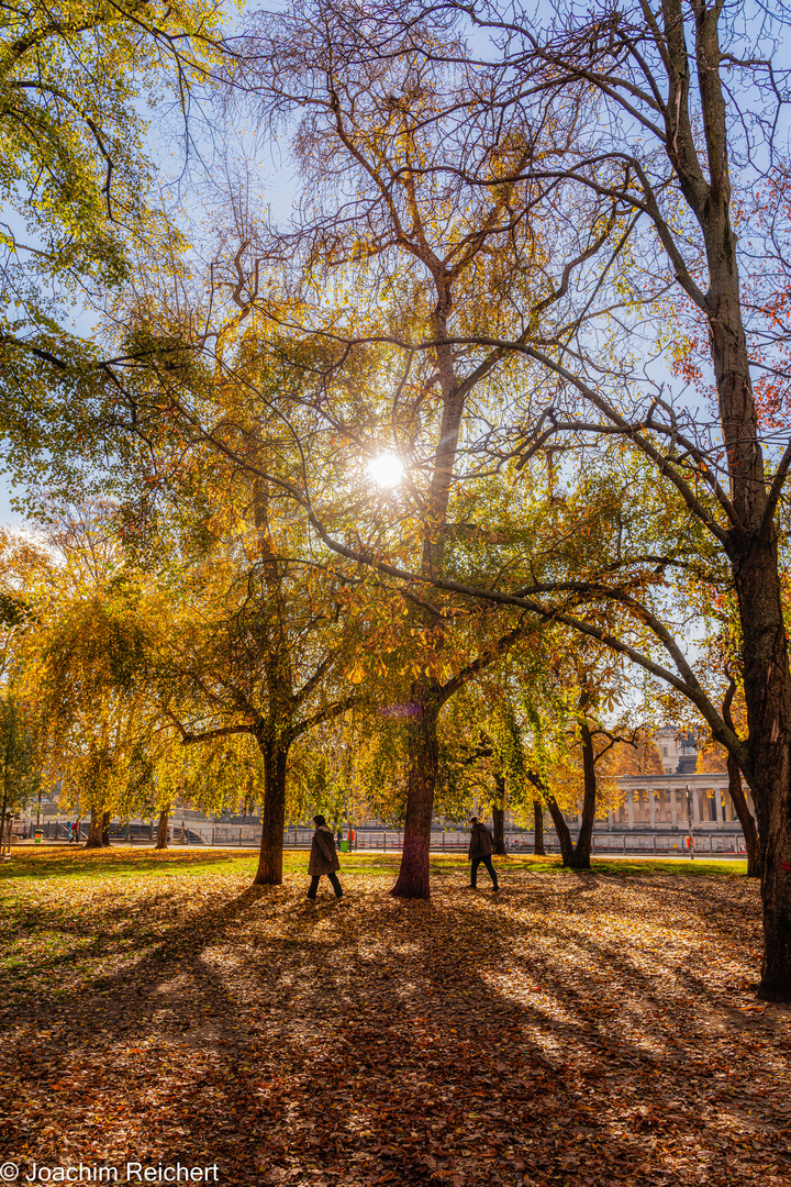 Automne au parc James Simon de Berlin