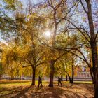 Automne au parc James Simon de Berlin