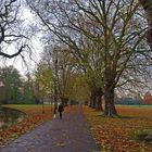 Automne au Parc  «Jesus Green » --  Cambridge -- Herbst in der « Jesus Green »-Parkanlage