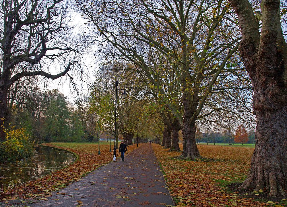 Automne au Parc  «Jesus Green » --  Cambridge -- Herbst in der « Jesus Green »-Parkanlage