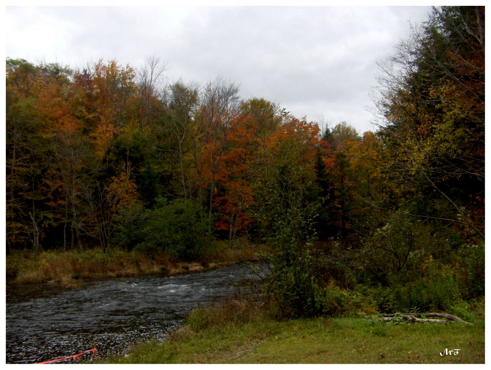 Automne au Québec