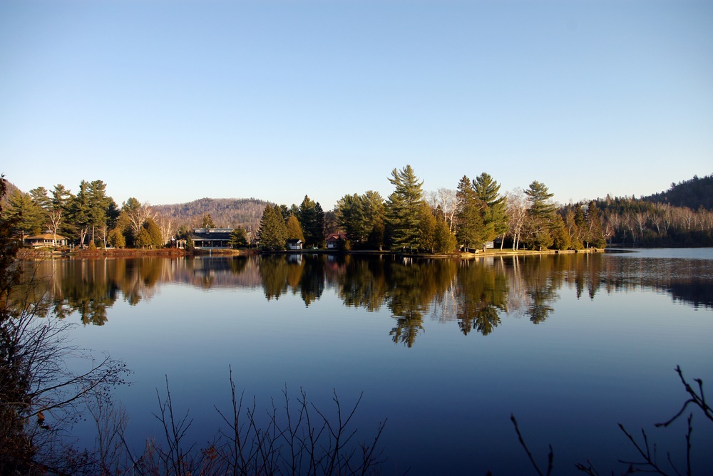 Automne aux bleus / Autumn in blues