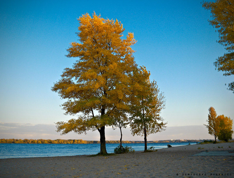 Automne aux bordes du Dnipro