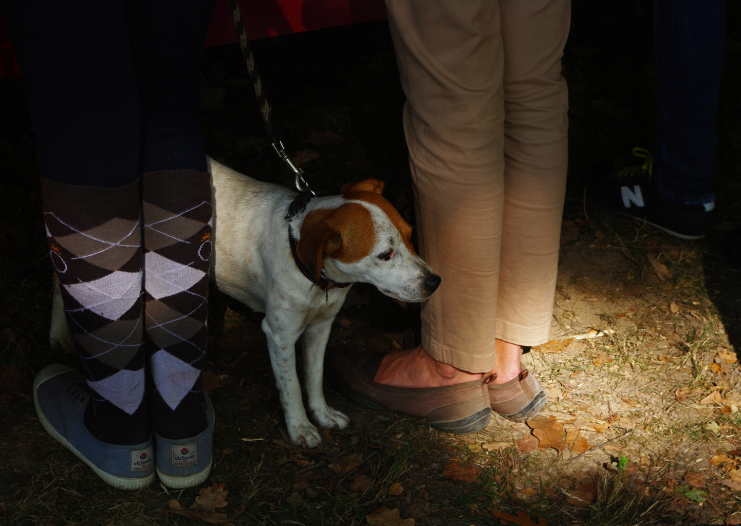 Automne aux pieds