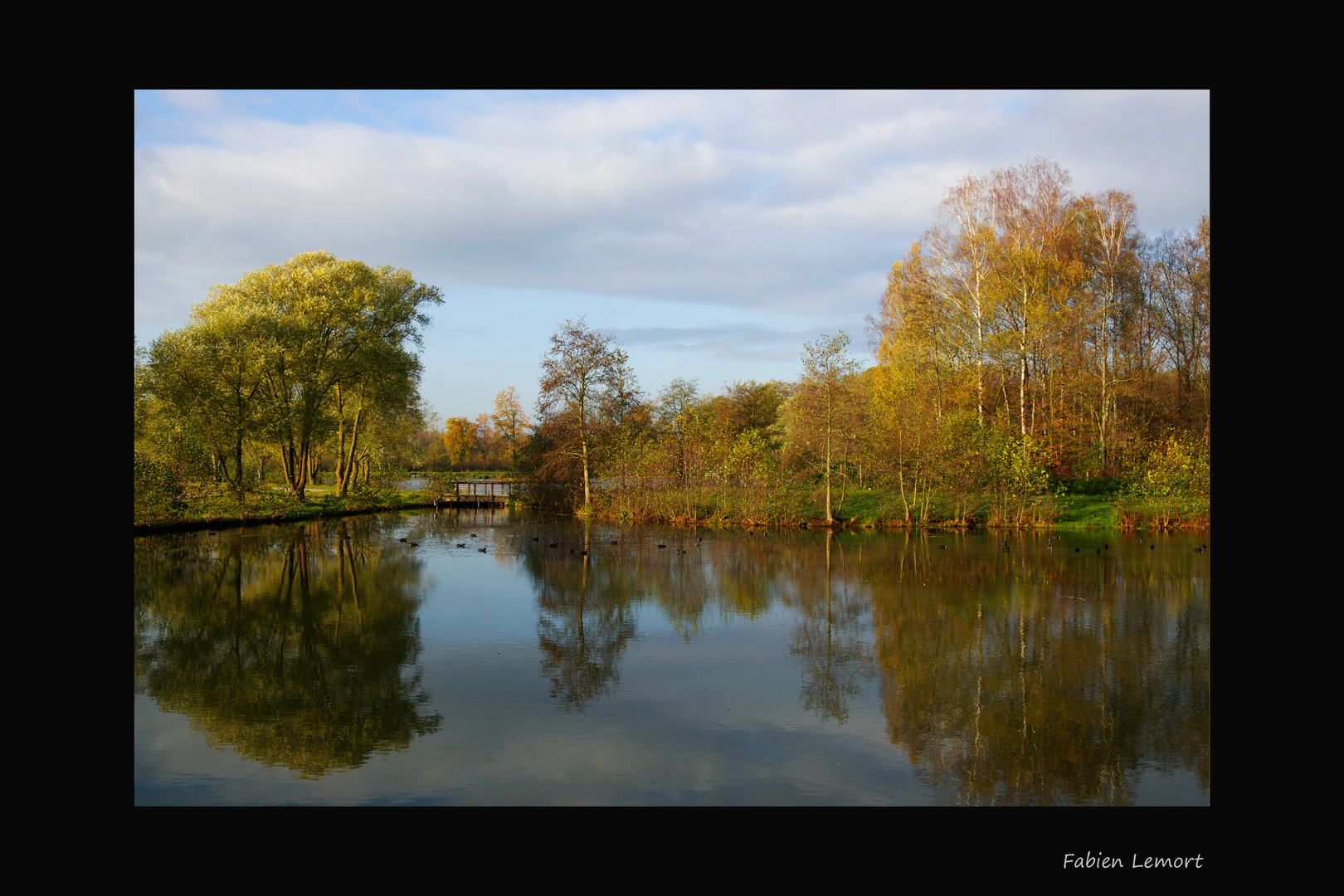 Automne coloré