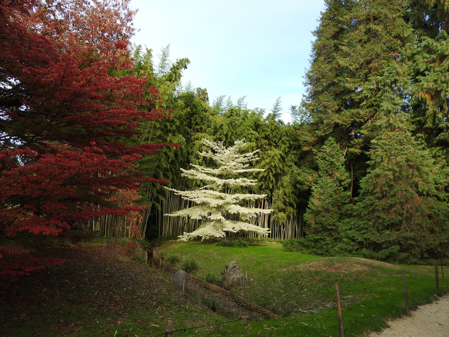 automne dans le gard