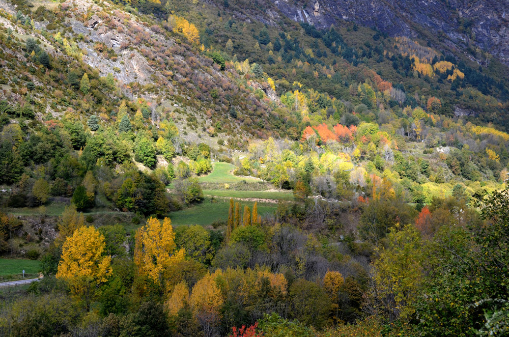 Automne dans les Pyrénées