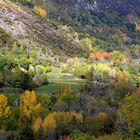 Automne dans les Pyrénées