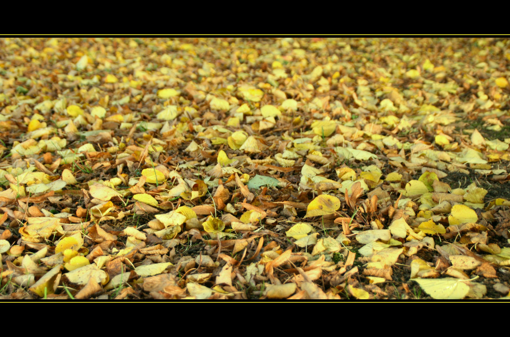 automne d'or