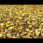 automne d'or