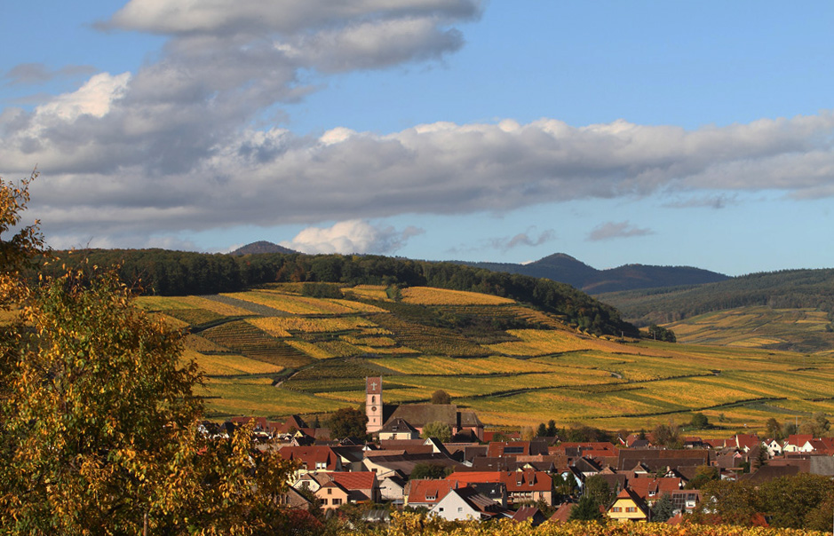 Automne en Alsace