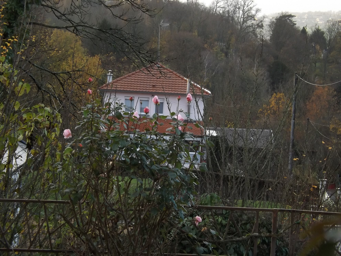 automne en Ardenne française