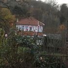 automne en Ardenne française