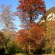 Automne en Barn