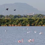 Automne en Camargue .... (3)