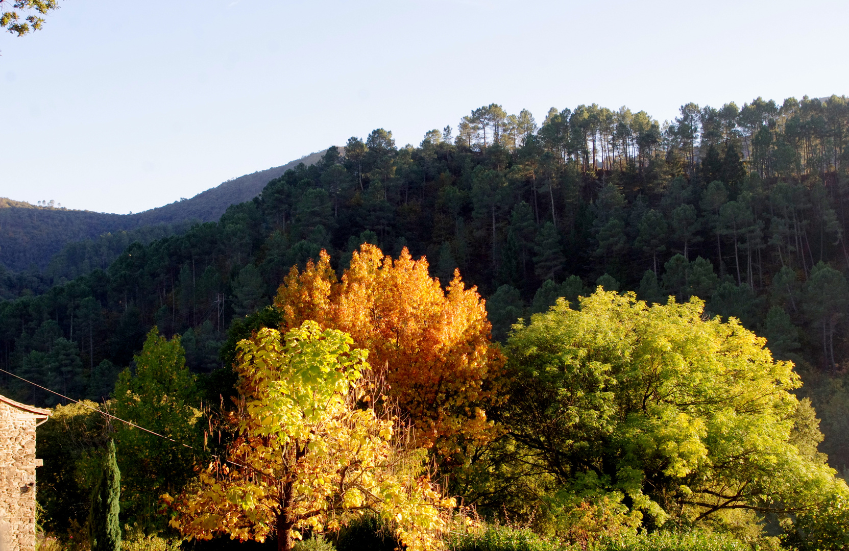 Automne en Cévennes ..... 2