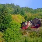 Automne en Cévennes ....