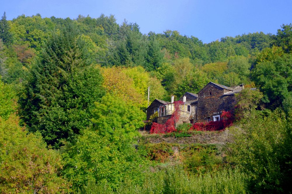 Automne en Cévennes ....