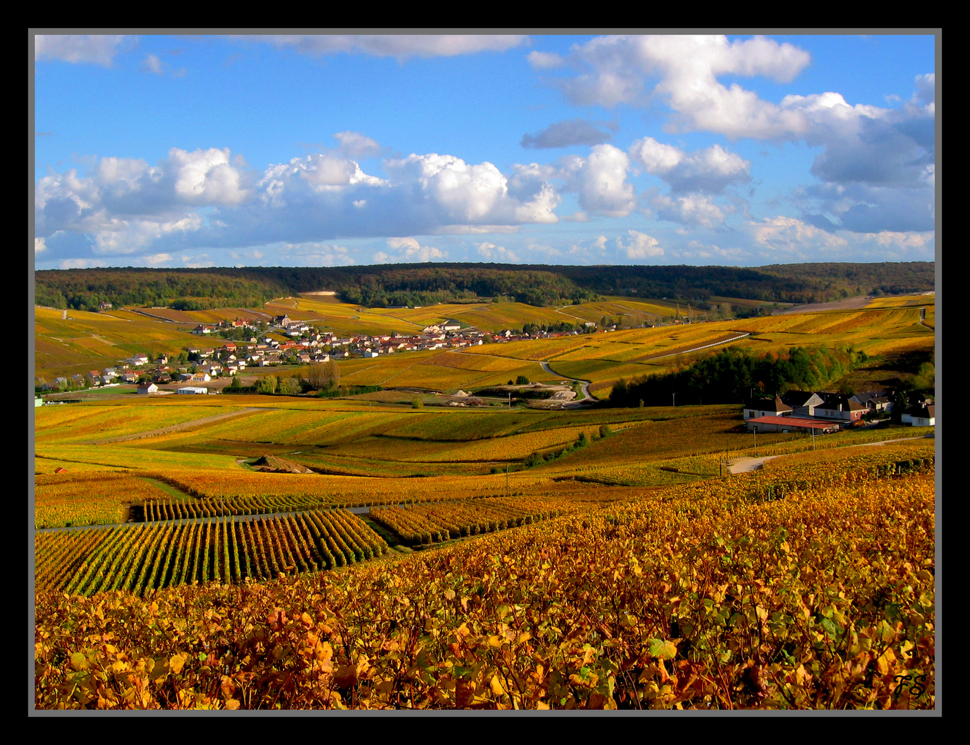 Automne en champagne