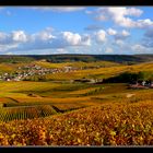 Automne en champagne