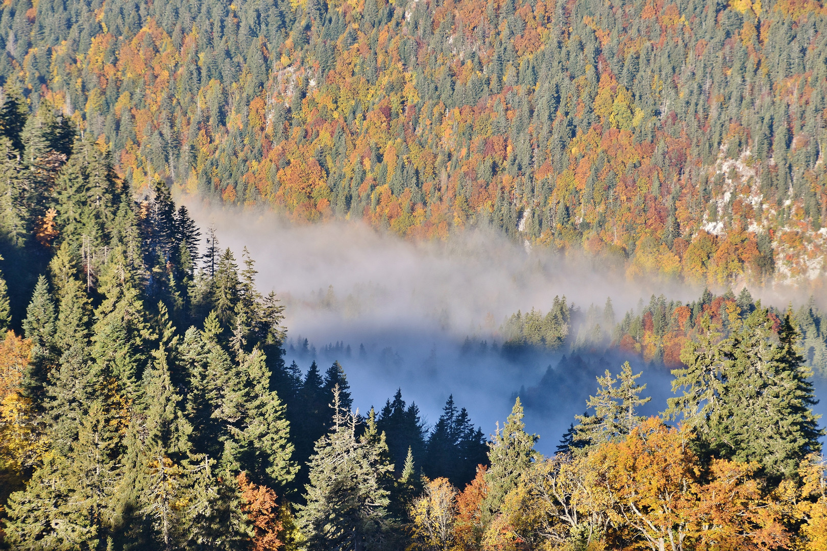 Automne en Chartreuse...... 3