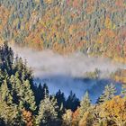 Automne en Chartreuse...... 3