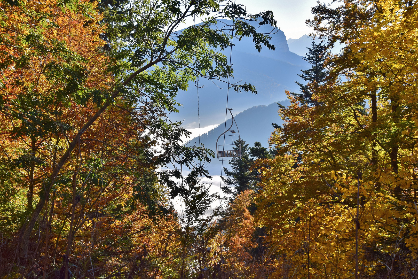 Automne en Chartreuse......