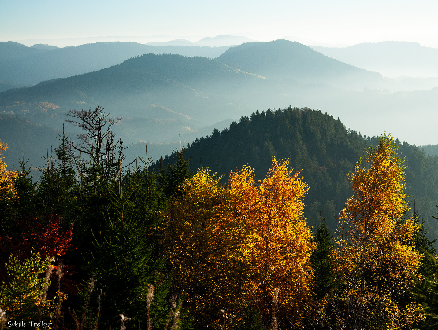 Automne en Forêt Noire