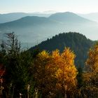 Automne en Forêt Noire