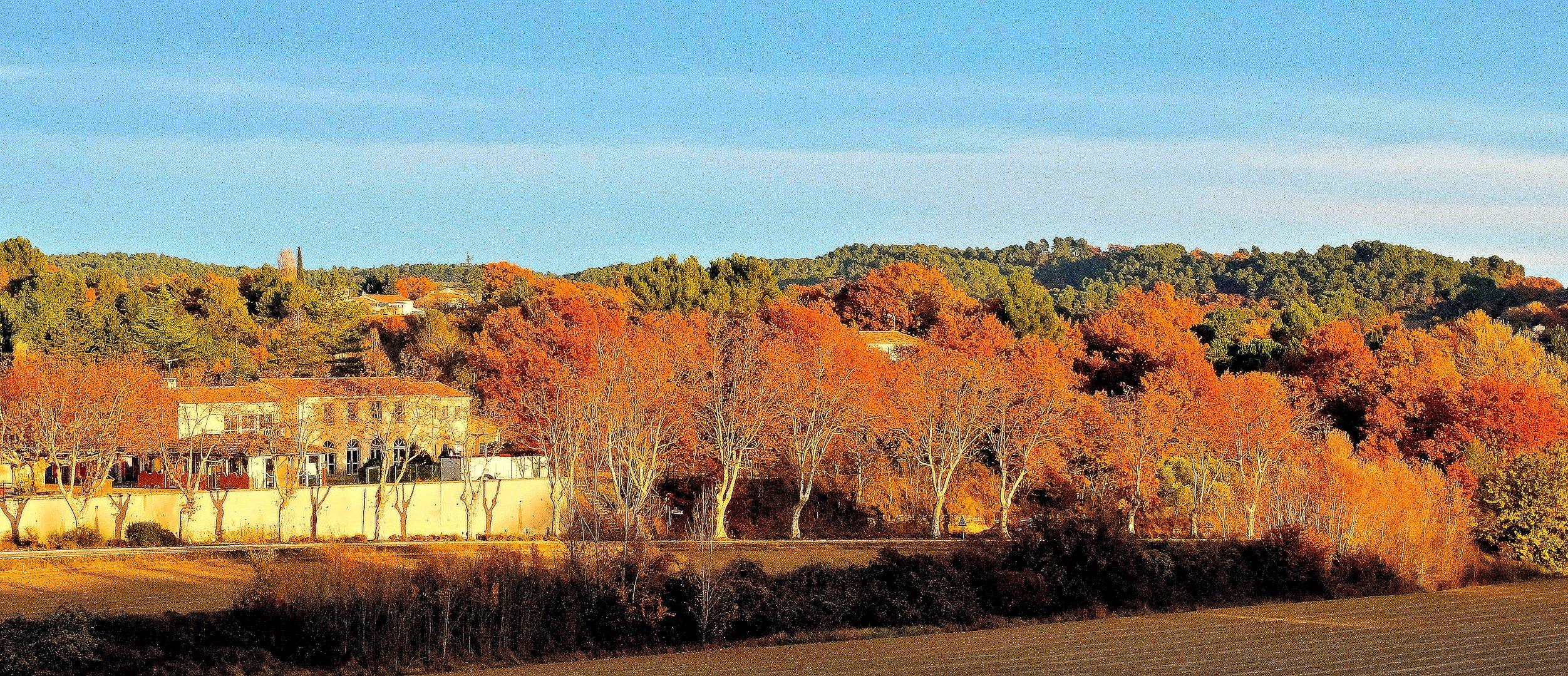 Automne en Luberon