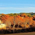 Automne en Luberon