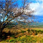 Automne en Luberon